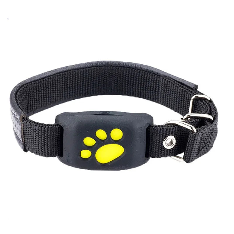 Collier GPS Intelligent pour Chiens et Chats Anti-Perte