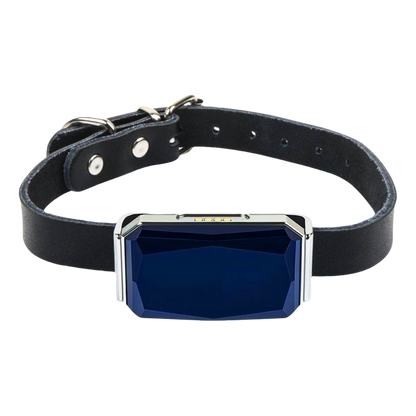 Collier GPS Intelligent pour Chiens et Chats – Suivi en Temps Réel
