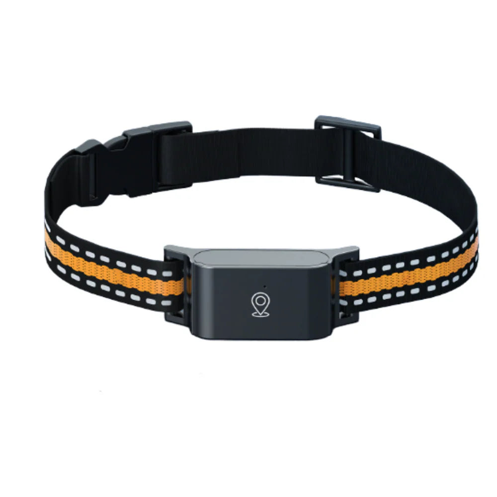 Collier GPS pour Animaux – Suivi Haute Précision et Portée Illimitée