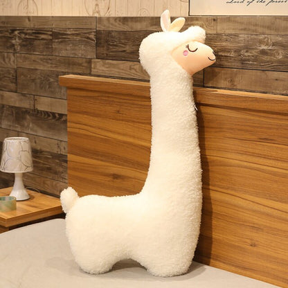 ItsmeAlpaga - oreiller ergonomique alpaga XXL - Peluche géante alpaga - Blxck France