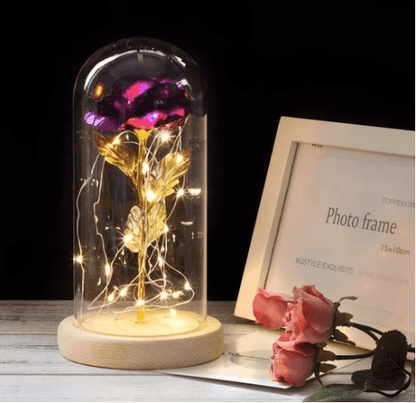 Rose Éternelle Enchantée lumineuse sous cloche - Idée Cadeau Femme - Blxck France